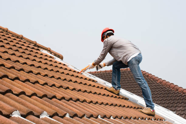 Best Skylights  in Carencro, LA